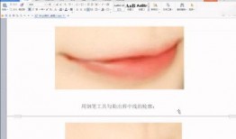 石家庄教校爆料视频播放,揭秘校园内幕