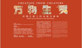 丝绸之路爆料了吗最新消息,揭秘爆料背后的真相与影响